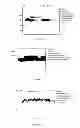 Fig. 05 - METHOD FOR THE PRODUCTION OF RECOMBINANT HUMAN FACTOR VIII