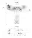 Fig. 04 - Readily isolated bispecific antibodies with native immunoglobulin format