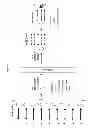 Fig. 12 - Process and methods for efficient manufacturing of highly pure asymmetric antibodies in mammalian cells
