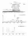 Fig. 14 - Process and methods for efficient manufacturing of highly pure asymmetric antibodies in mammalian cells