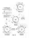 Fig. 02 - Polynucleotide and polypeptide sequence and methods thereof
