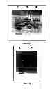 Fig. 04 - Polynucleotide and polypeptide sequence and methods thereof