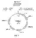 Fig. 08 - METHODS AND COMPOSITIONS FOR DETECTING PROMOTER ACTIVITY AND EXPRESSING FUSION PROTEINS
