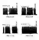 Fig. 110 - METHODS AND COMPOSITIONS FOR DETECTING PROMOTER ACTIVITY AND EXPRESSING FUSION PROTEINS