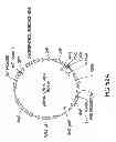 Fig. 111 - METHODS AND COMPOSITIONS FOR DETECTING PROMOTER ACTIVITY AND EXPRESSING FUSION PROTEINS