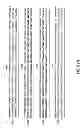Fig. 124 - METHODS AND COMPOSITIONS FOR DETECTING PROMOTER ACTIVITY AND EXPRESSING FUSION PROTEINS