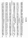 Fig. 134 - METHODS AND COMPOSITIONS FOR DETECTING PROMOTER ACTIVITY AND EXPRESSING FUSION PROTEINS