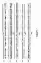 Fig. 148 - METHODS AND COMPOSITIONS FOR DETECTING PROMOTER ACTIVITY AND EXPRESSING FUSION PROTEINS