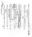 Fig. 18 - METHODS AND COMPOSITIONS FOR DETECTING PROMOTER ACTIVITY AND EXPRESSING FUSION PROTEINS