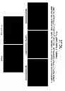 Fig. 22 - METHODS AND COMPOSITIONS FOR DETECTING PROMOTER ACTIVITY AND EXPRESSING FUSION PROTEINS