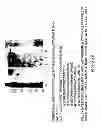 Fig. 25 - METHODS AND COMPOSITIONS FOR DETECTING PROMOTER ACTIVITY AND EXPRESSING FUSION PROTEINS
