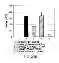 Fig. 26 - METHODS AND COMPOSITIONS FOR DETECTING PROMOTER ACTIVITY AND EXPRESSING FUSION PROTEINS