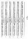 Fig. 50 - METHODS AND COMPOSITIONS FOR DETECTING PROMOTER ACTIVITY AND EXPRESSING FUSION PROTEINS