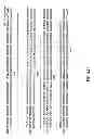 Fig. 65 - METHODS AND COMPOSITIONS FOR DETECTING PROMOTER ACTIVITY AND EXPRESSING FUSION PROTEINS