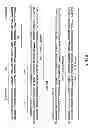 Fig. 78 - METHODS AND COMPOSITIONS FOR DETECTING PROMOTER ACTIVITY AND EXPRESSING FUSION PROTEINS