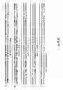 Fig. 79 - METHODS AND COMPOSITIONS FOR DETECTING PROMOTER ACTIVITY AND EXPRESSING FUSION PROTEINS