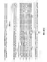 Fig. 80 - METHODS AND COMPOSITIONS FOR DETECTING PROMOTER ACTIVITY AND EXPRESSING FUSION PROTEINS