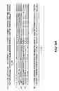 Fig. 84 - METHODS AND COMPOSITIONS FOR DETECTING PROMOTER ACTIVITY AND EXPRESSING FUSION PROTEINS