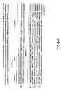 Fig. 93 - METHODS AND COMPOSITIONS FOR DETECTING PROMOTER ACTIVITY AND EXPRESSING FUSION PROTEINS