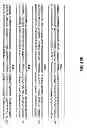 Fig. 95 - METHODS AND COMPOSITIONS FOR DETECTING PROMOTER ACTIVITY AND EXPRESSING FUSION PROTEINS