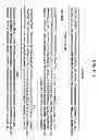 Fig. 96 - METHODS AND COMPOSITIONS FOR DETECTING PROMOTER ACTIVITY AND EXPRESSING FUSION PROTEINS
