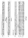 Fig. 98 - METHODS AND COMPOSITIONS FOR DETECTING PROMOTER ACTIVITY AND EXPRESSING FUSION PROTEINS