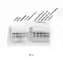 Fig. 08 - Nucleic acid purification