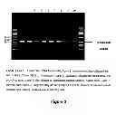 Fig. 03 - METHOD FOR ISOLATING DNA