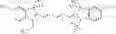Fig. 19 - Nucleotides and nucleosides and methods for their use in DNA sequencing