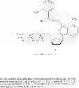 Fig. 77 - Nucleotides and nucleosides and methods for their use in DNA sequencing