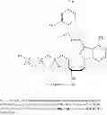Fig. 83 - Nucleotides and nucleosides and methods for their use in DNA sequencing
