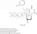 Fig. 87 - Nucleotides and nucleosides and methods for their use in DNA sequencing