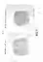 Fig. 13 - Hemostatic compositions and therapeutic regimens