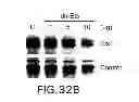 Fig. 41 - Hemostatic compositions and therapeutic regimens
