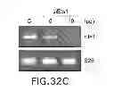 Fig. 42 - Hemostatic compositions and therapeutic regimens
