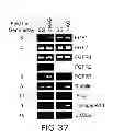 Fig. 48 - Hemostatic compositions and therapeutic regimens