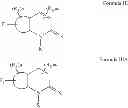 Fig. 06 - Process for synthesizing oxidized lactam compounds