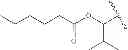Fig. 148 - Process for synthesizing oxidized lactam compounds