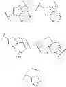Fig. 15 - Process for synthesizing oxidized lactam compounds