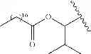 Fig. 154 - Process for synthesizing oxidized lactam compounds