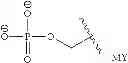 Fig. 227 - Process for synthesizing oxidized lactam compounds