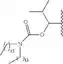 Fig. 291 - Process for synthesizing oxidized lactam compounds