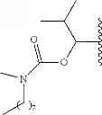 Fig. 294 - Process for synthesizing oxidized lactam compounds