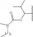 Fig. 295 - Process for synthesizing oxidized lactam compounds