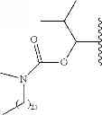 Fig. 301 - Process for synthesizing oxidized lactam compounds