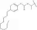Fig. 381 - Process for synthesizing oxidized lactam compounds