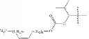 Fig. 434 - Process for synthesizing oxidized lactam compounds