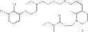 Fig. 565 - Process for synthesizing oxidized lactam compounds