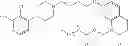 Fig. 596 - Process for synthesizing oxidized lactam compounds