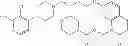 Fig. 599 - Process for synthesizing oxidized lactam compounds